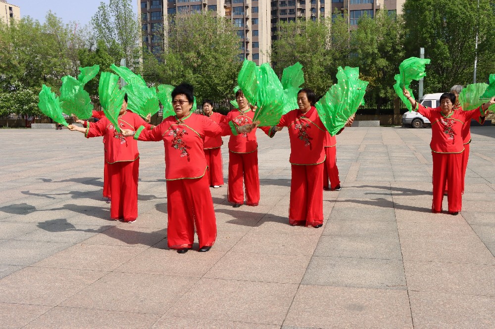 最美义工 义工协会艺术团